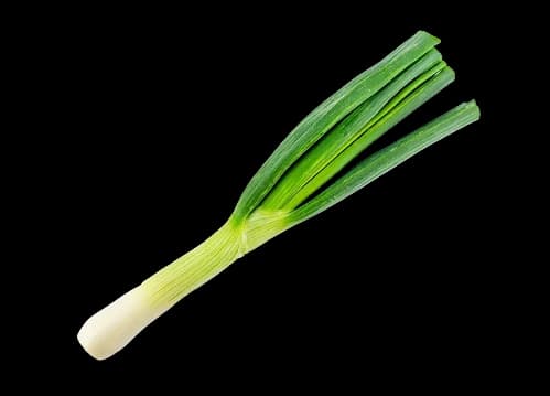 A green onion